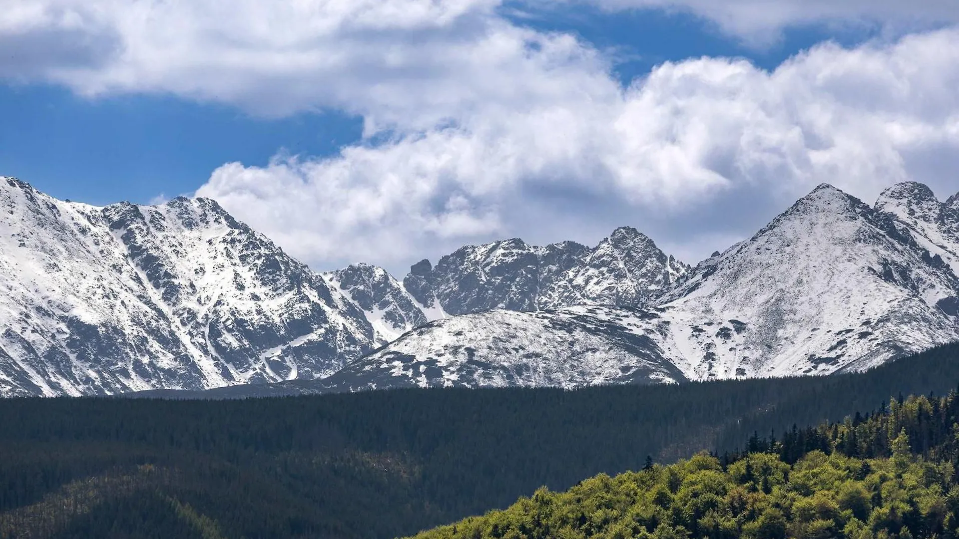 Exclusive Apartments With Air Conditioning And Balcony By Renters Prestige Zakopane